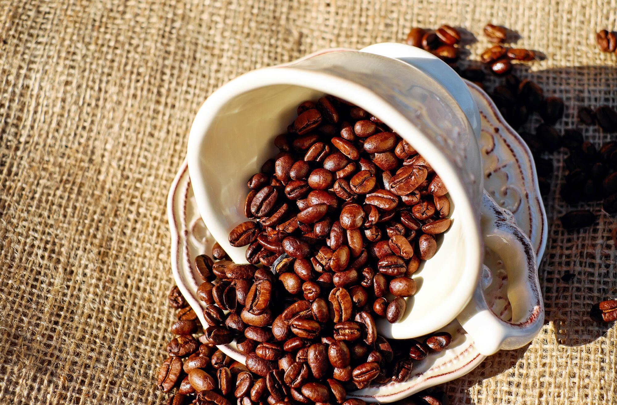 Caffeine and Osteoporosis: What Seniors Should Know