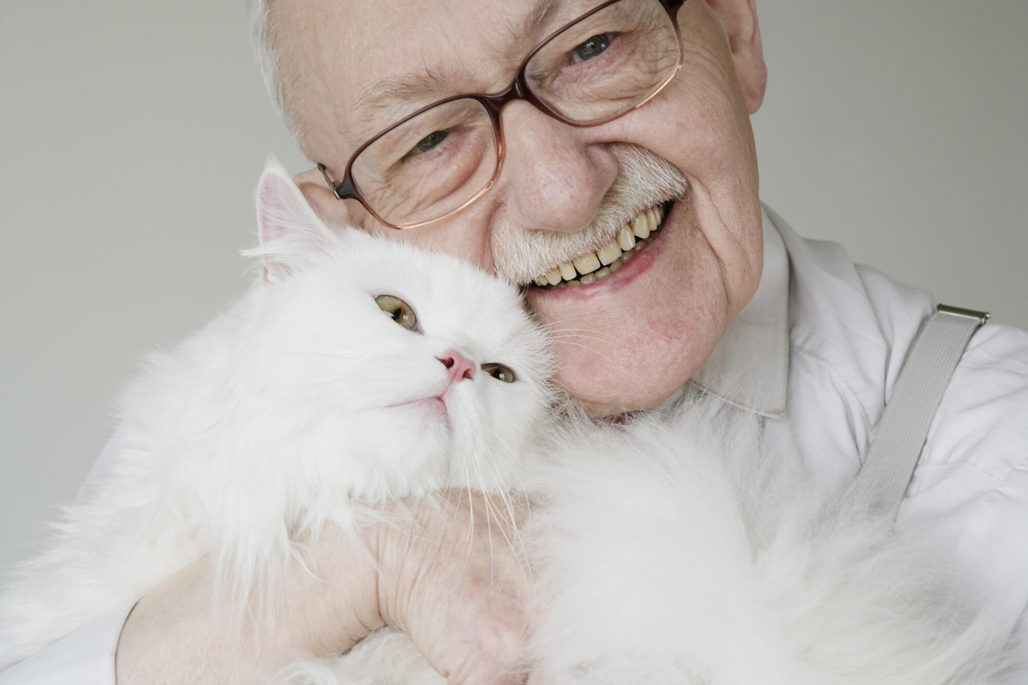 Benefits of Pet Friendly Senior Living in Chelmsford, MA