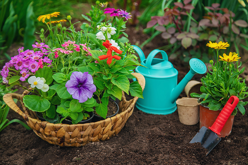 Gardening For Seniors: 7 Tips To Make It Easier